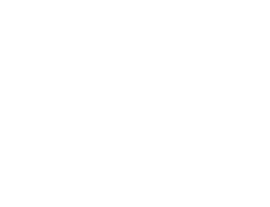 Studio Sandra Gutsche Logo